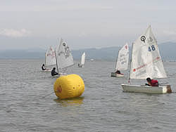 kokki
